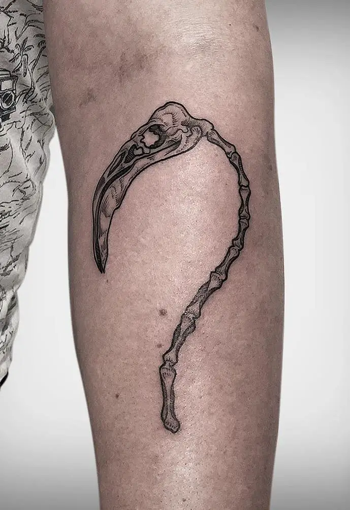 Flamingo Skull Tattoo