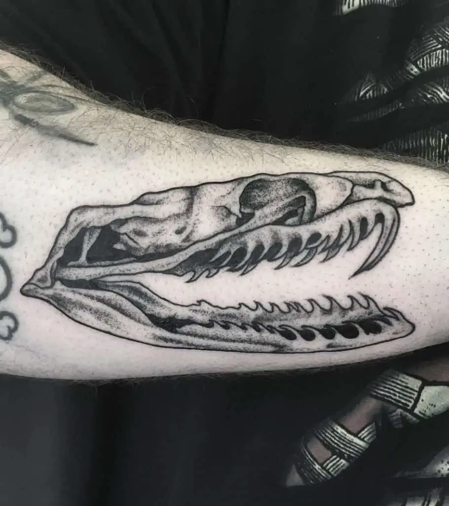 Tatuaje de calavera de serpiente