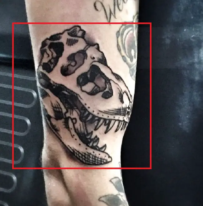 Josh Beech-T-Rex Skull Tattoo