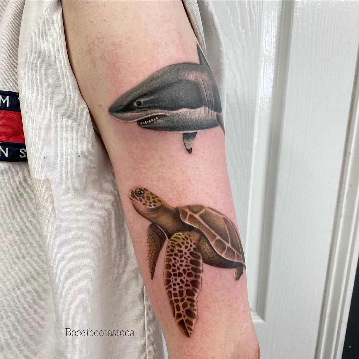 Diseños de tatuajes de tortugas en 3D 1