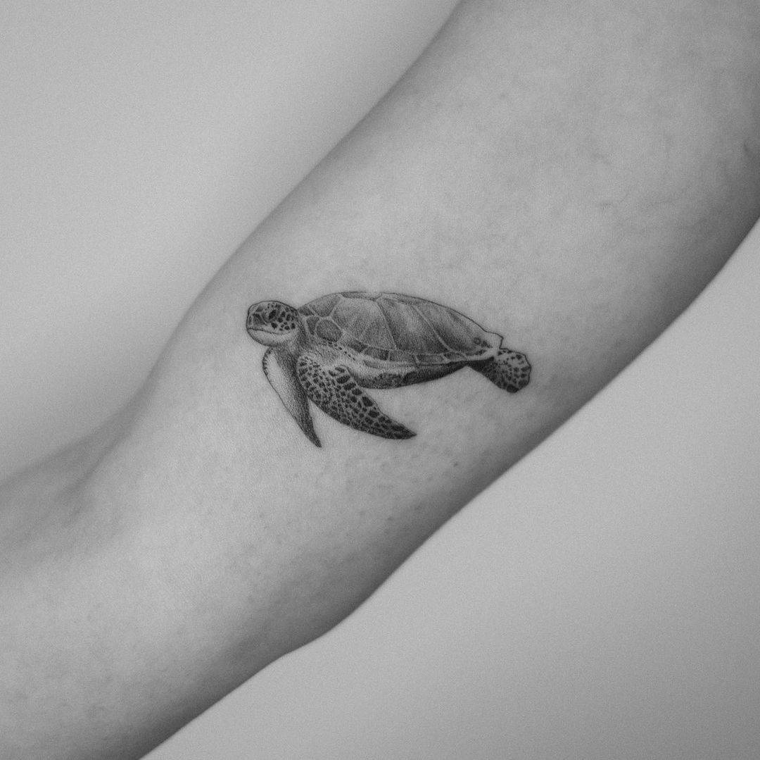 Tatuajes realistas de tortugas negras y grises 2