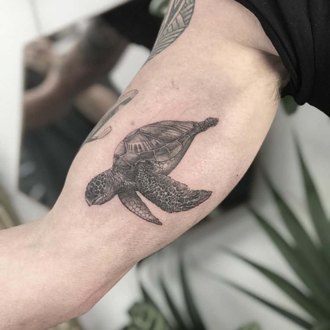 Tatuajes realistas de tortugas negras y grises 3