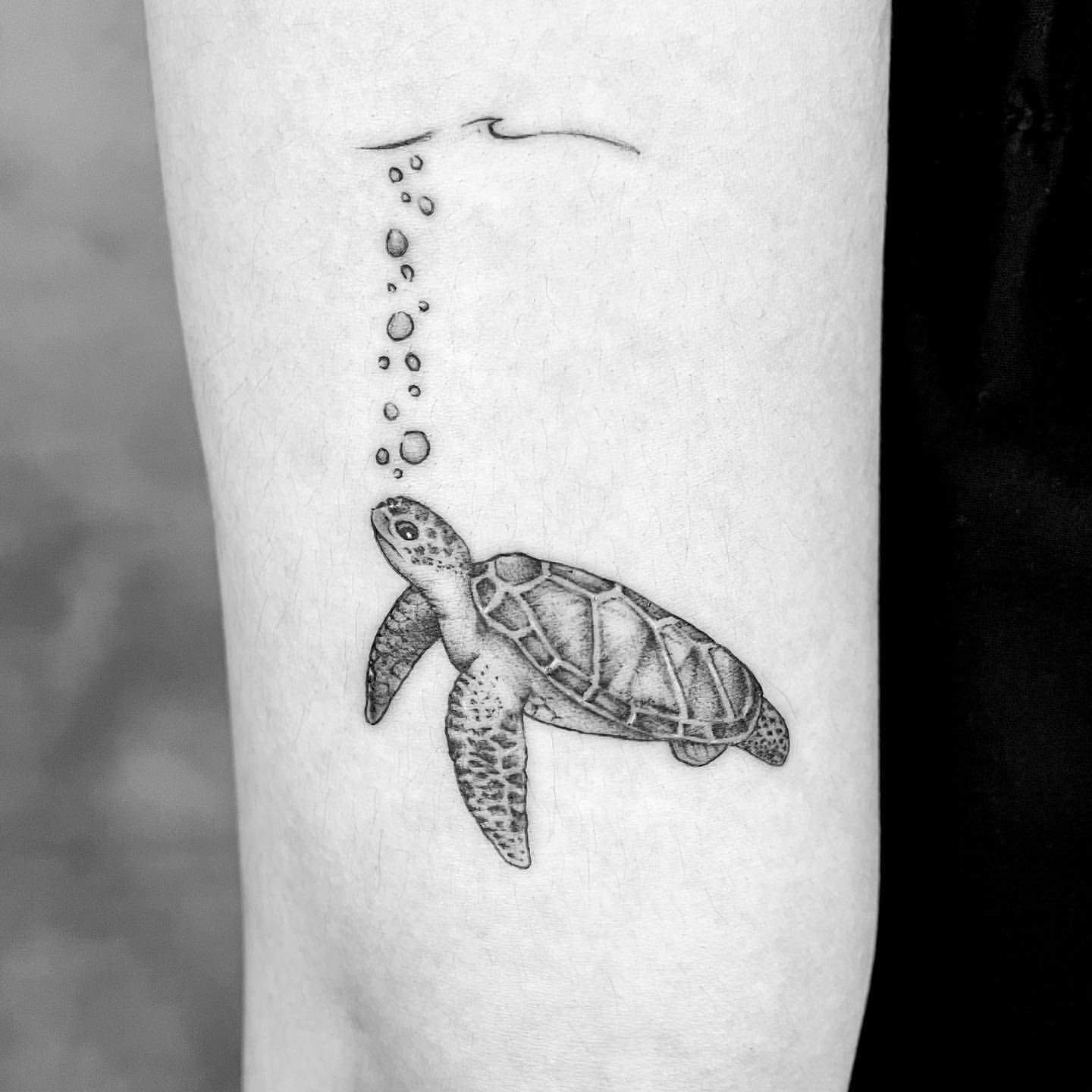 Tatuajes de tortugas en los brazos 1