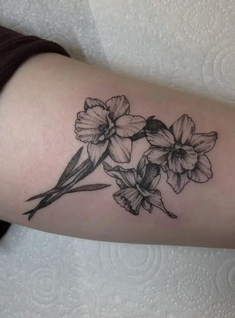 Tatuaje de narciso negro y gris