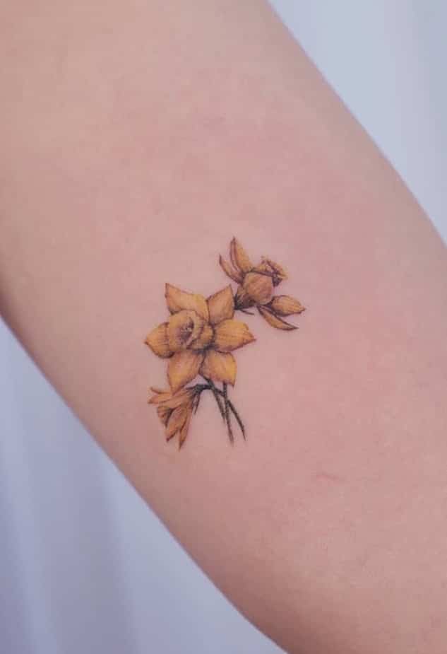 Pequeño tatuaje de narciso