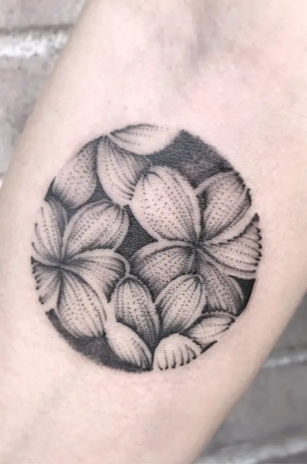Tatuaje de Plumeria de trabajo de puntos