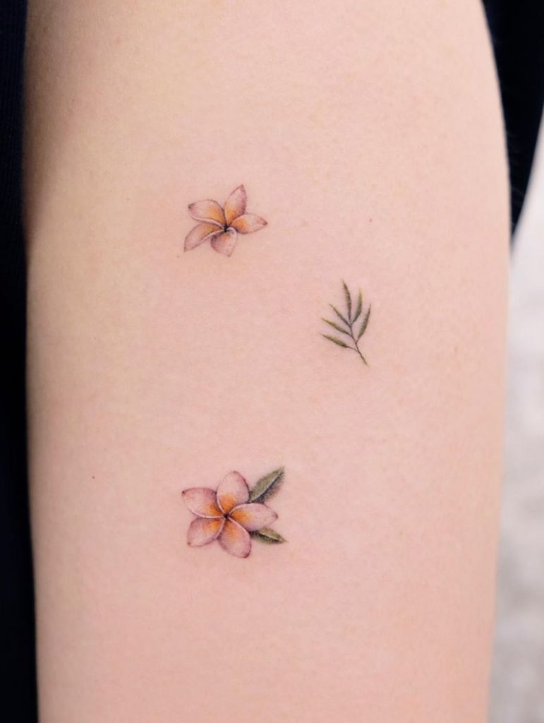 Pequeño tatuaje de Plumeria