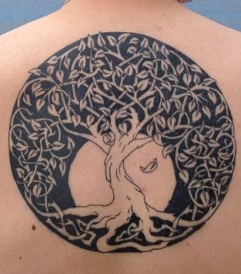Tatuaje celta del árbol de la vida