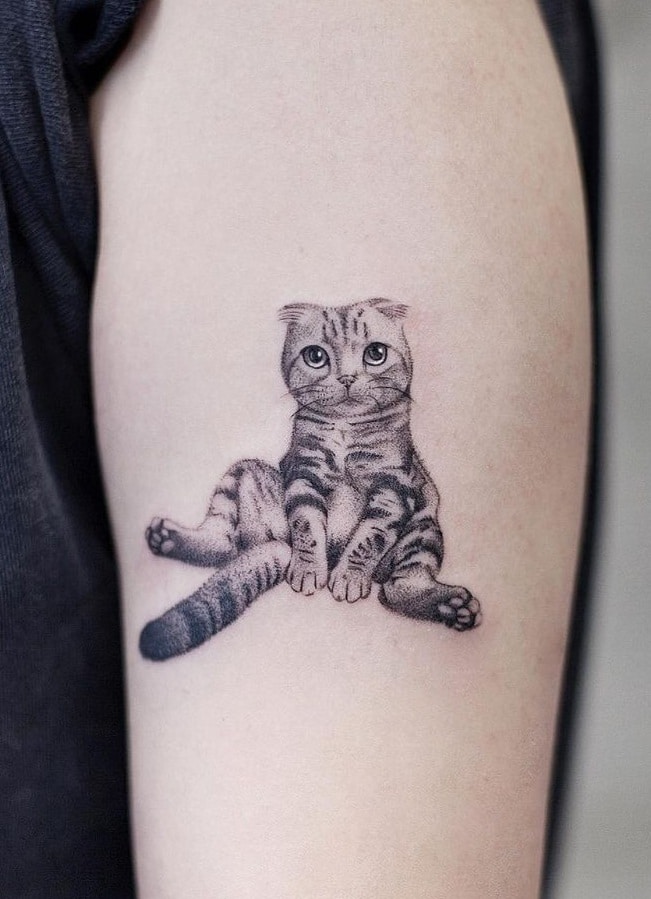 Tatuaje de gato micro-realista
