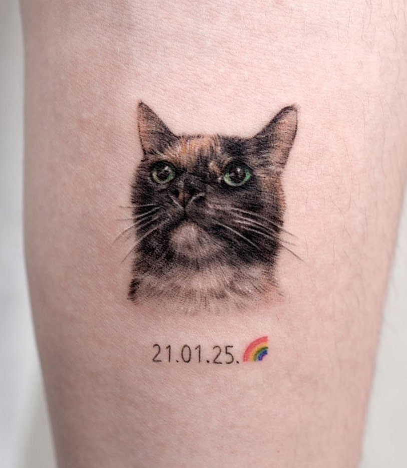 Tatuaje de retrato de gato pequeño