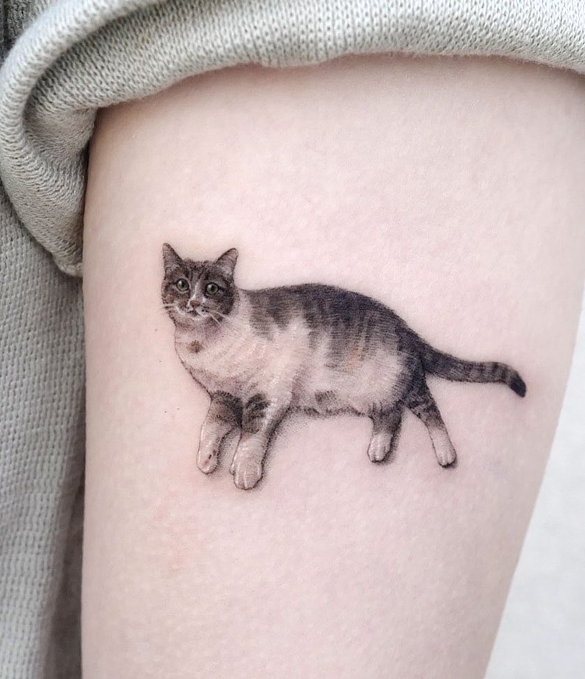 Pequeño gato tatuaje