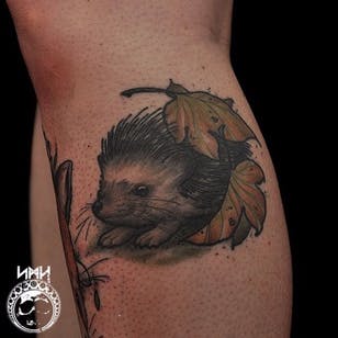 Tatuaje de erizo por Scott M. Harrison #ScottMHarrison #untraditional #nature # hedgehog