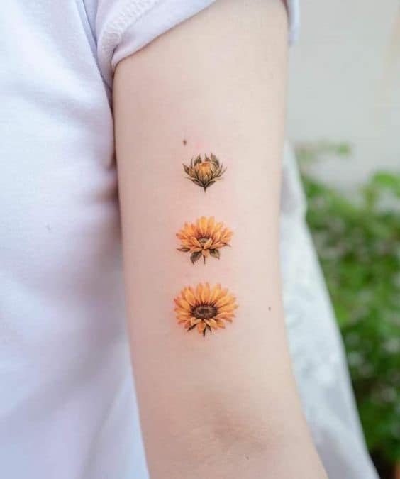 Tatuaje de girasol floreciente