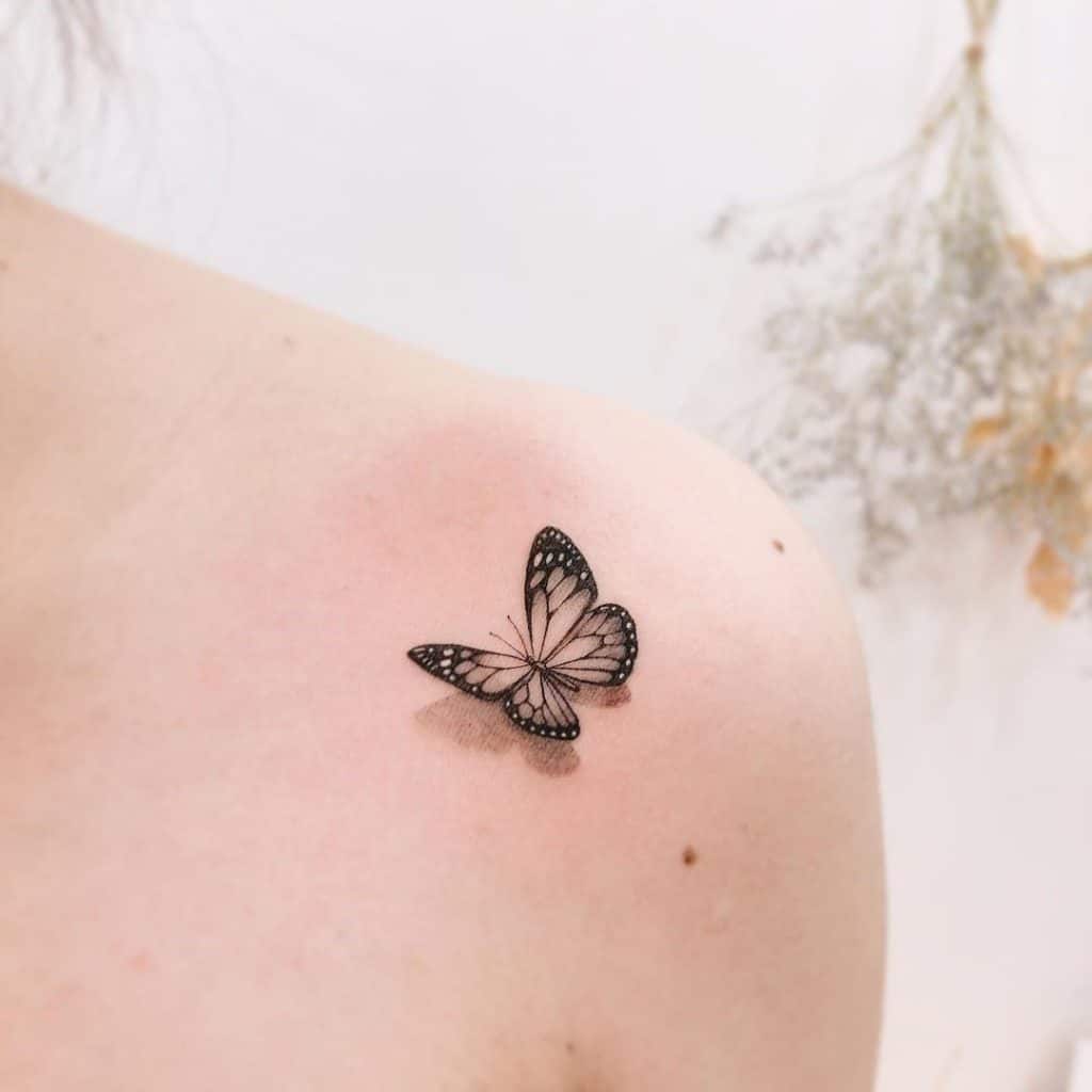 Mariposa - Transformación 4
