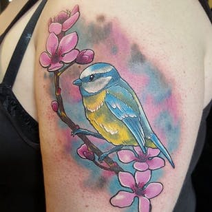 Tatuaje neo tradicional de pájaro teta azul de Lee Banks.  #neotradicional # pájaro #bluetit #bluetitbird #LeeBanks