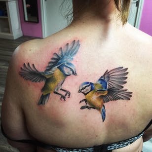 Color Realism Blue Tit Birds por Miss Joy Dewi.  #realismo #farverealisme #fugl #bluetit #bluetitbird #MissJoyDewi