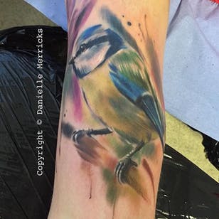 Pintoresco Realismo Blue Tit por Danielle Merricks.  #realismo #farverealisme #malerisk #fugl #bluetit #bluetitbird #DanielleMerricks