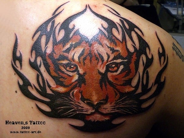Tigre-tribales-tatuajes-1
