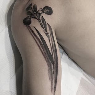 Tatuaje de iris negro y gris de David Allen.  #realismo # sortandgrå #malerisk #DavidAllen #blomst #iris