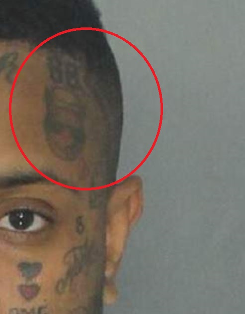 Tatuaje del lado sur en el lado izquierdo de la cabeza
