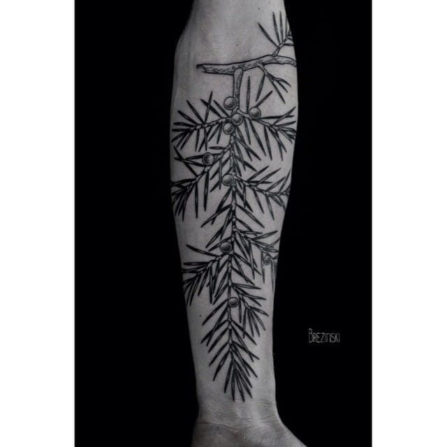 Tatuaje de hoja con frutas pequeñas por Ilya Brezinski #Ilyabrezinski #ilyabrezinskitattoo # negro # trabajo negro # minimalista # tatuaje de hoja # hojas # tatuaje de león # Minsk