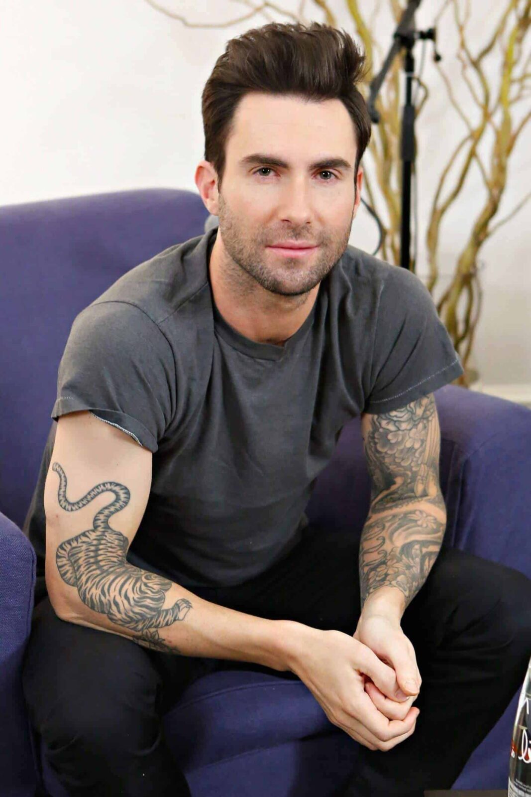 Adam Levine tatuaje de tigre
