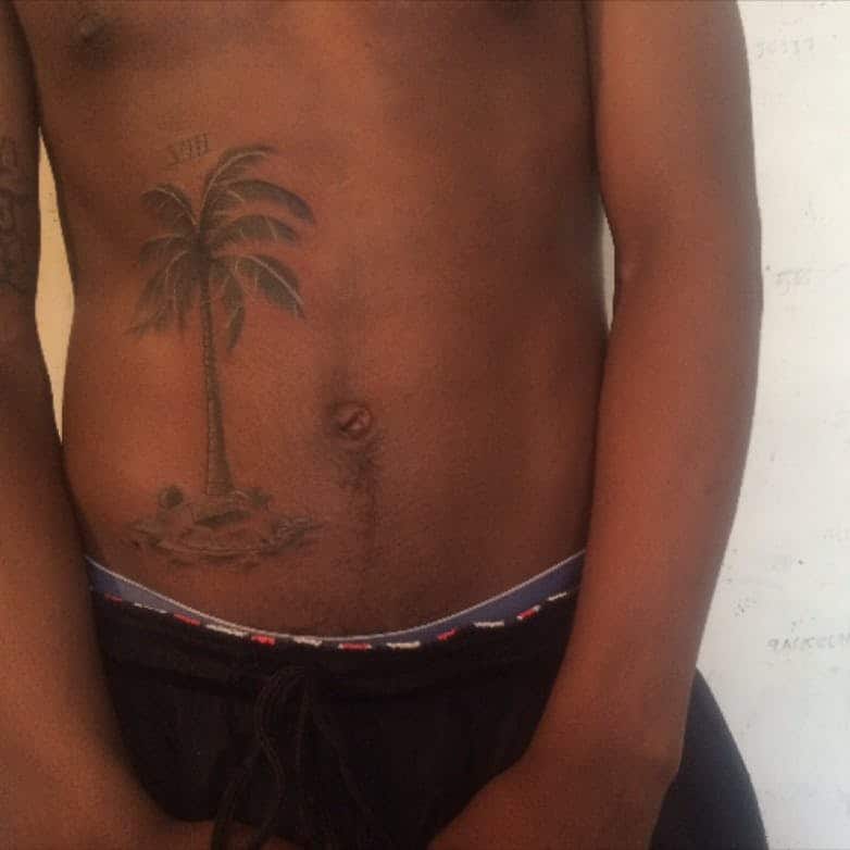 tatuaje de vientre de palmera