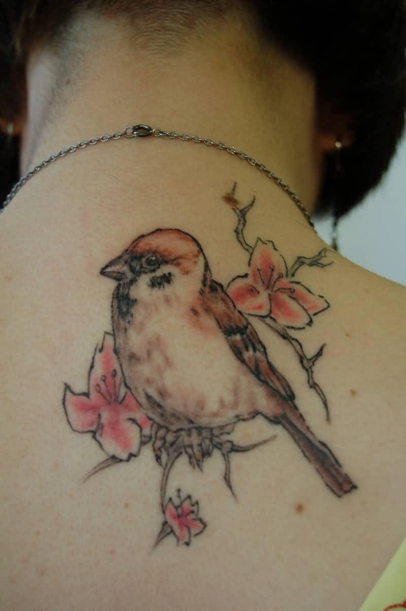 tatuaje de gorrión en la espalda