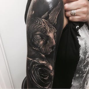Tatuaje esfinge gato #SandryRiffard #black and grey #realism #realistic #sphinxcat #cat