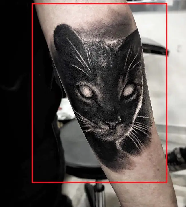 Tatuaje de gato negro-Cristina Scabbia
