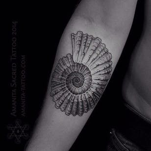 Fantástico tatuaje de Mike Amanita #ammonit #MikeAmanita #ammonitetattoo #blackwork