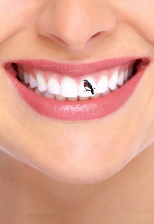 tatuaje de pájaros en los dientes