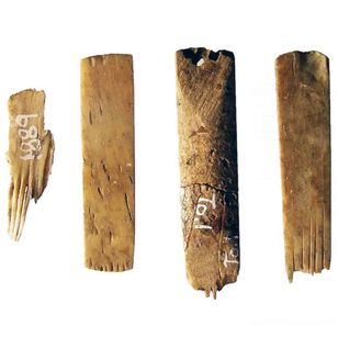 Antiguas herramientas de tatuaje de Tangatapu #tangatapu #tattootools #tattoosupplies #tattoohistory #tattooculture