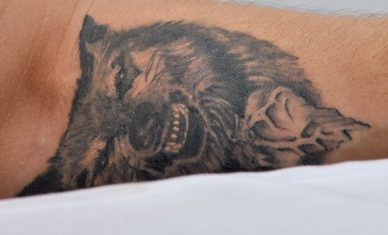 Tatuaje de lobo enojado de Tom Hardy