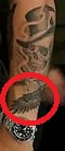 Tatuaje De Pluma De Tom Hardy