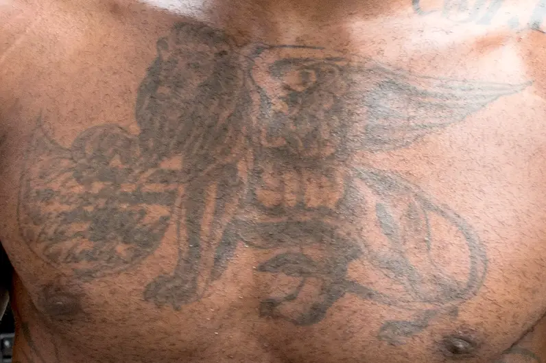 Tatuaje de león alado de LeBron