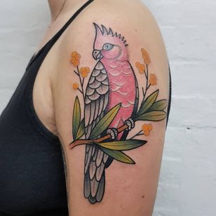Tatuaje de pájaro de Zero Scar #ZeroScar #bird # parrot # cockatoo #feather #plant #animal