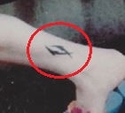 Tatuaje del delfín de Alyson Hannigan