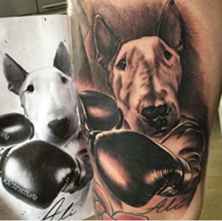 Tatuaje del perro toro Alberto.