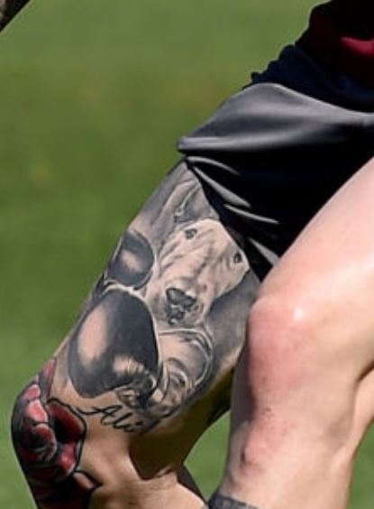 Alberto perro con un tatuaje en guantes de boxeo