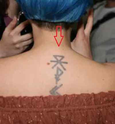 Tatuaje de Paenda en la espalda