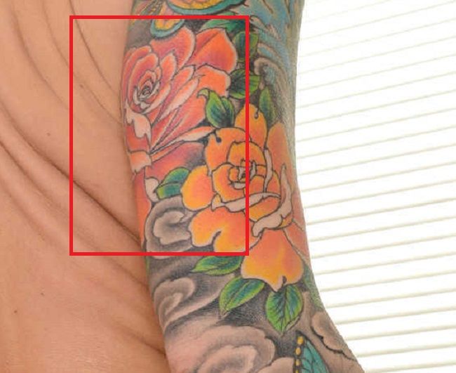 Tatuaje Monique Orange Rose
