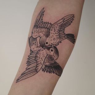 Tatuaje de pájaro de Ant the Elder #AnttheElder #illustrative #bird tattoo #birds #feathers #wings #armtattoo #underarmtattoo