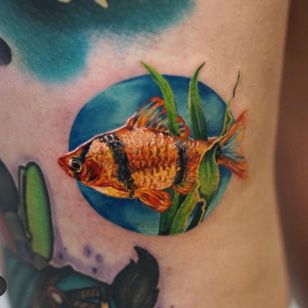 Tattoo by Nina Richards #NinaRichards #realism #fish #fish #animals #color #plant #naturaleza 