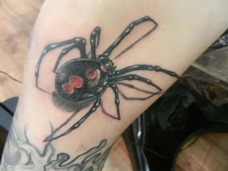 tatuaje de araña - tatuaje de araña - significado tatuaje de araña - bocetos de tatuaje de araña - foto de tatuaje de araña